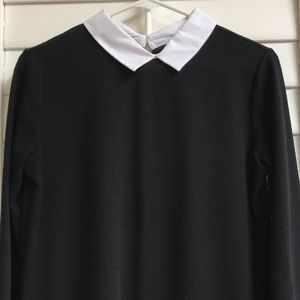 Zara Collar Black and White Dress